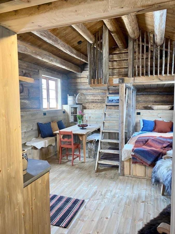 Sauefjoset - Idyllisk Gardstun Fra 1800-Tallet Skjåk エクステリア 写真